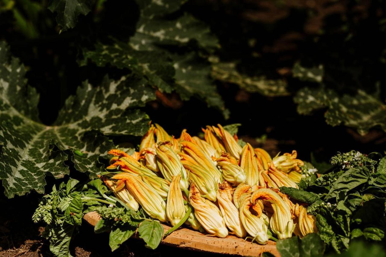 Vallicciola Nature Hotel Tempio Pausania Dış mekan fotoğraf