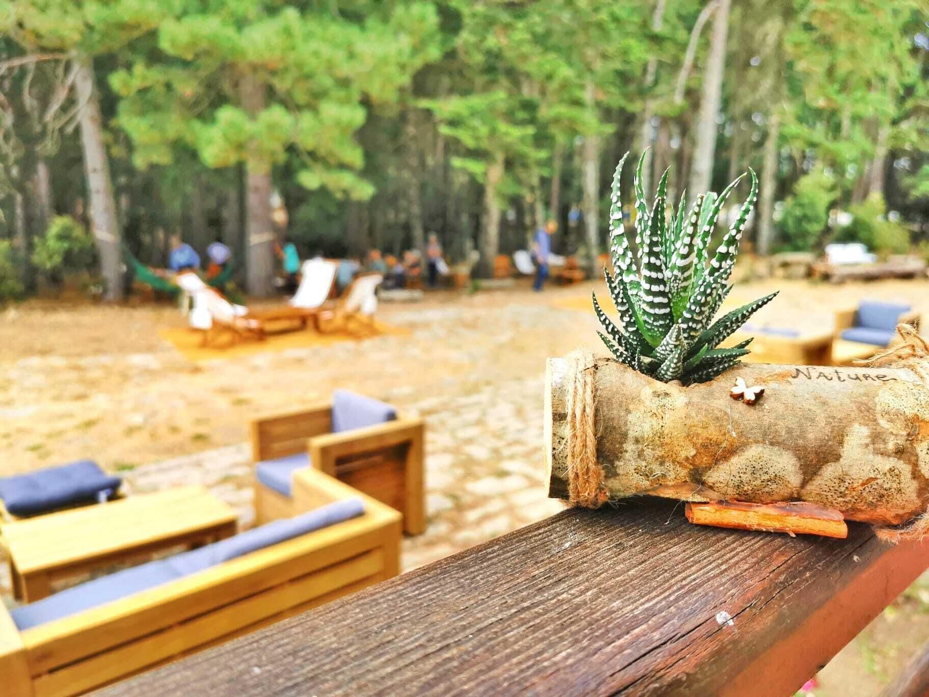 Vallicciola Nature Hotel Tempio Pausania Dış mekan fotoğraf