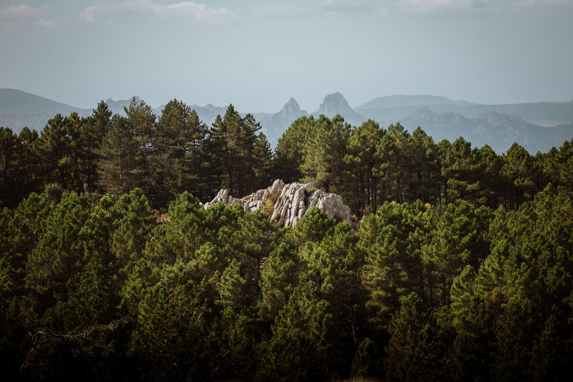 Vallicciola Nature Hotel Tempio Pausania Dış mekan fotoğraf